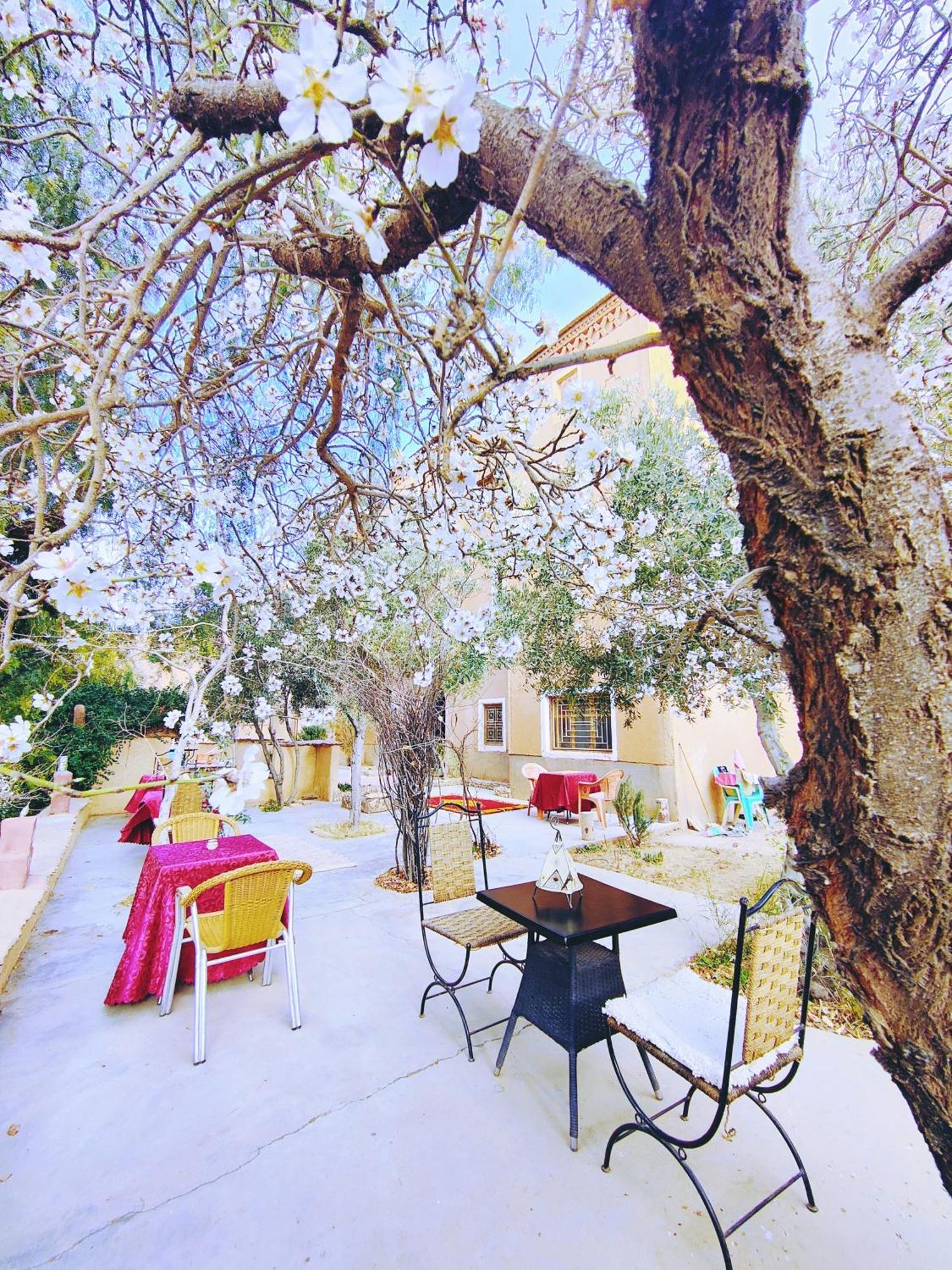 Riad Kasbah Des Roches Akhendachou n'Ait Ouffi エクステリア 写真