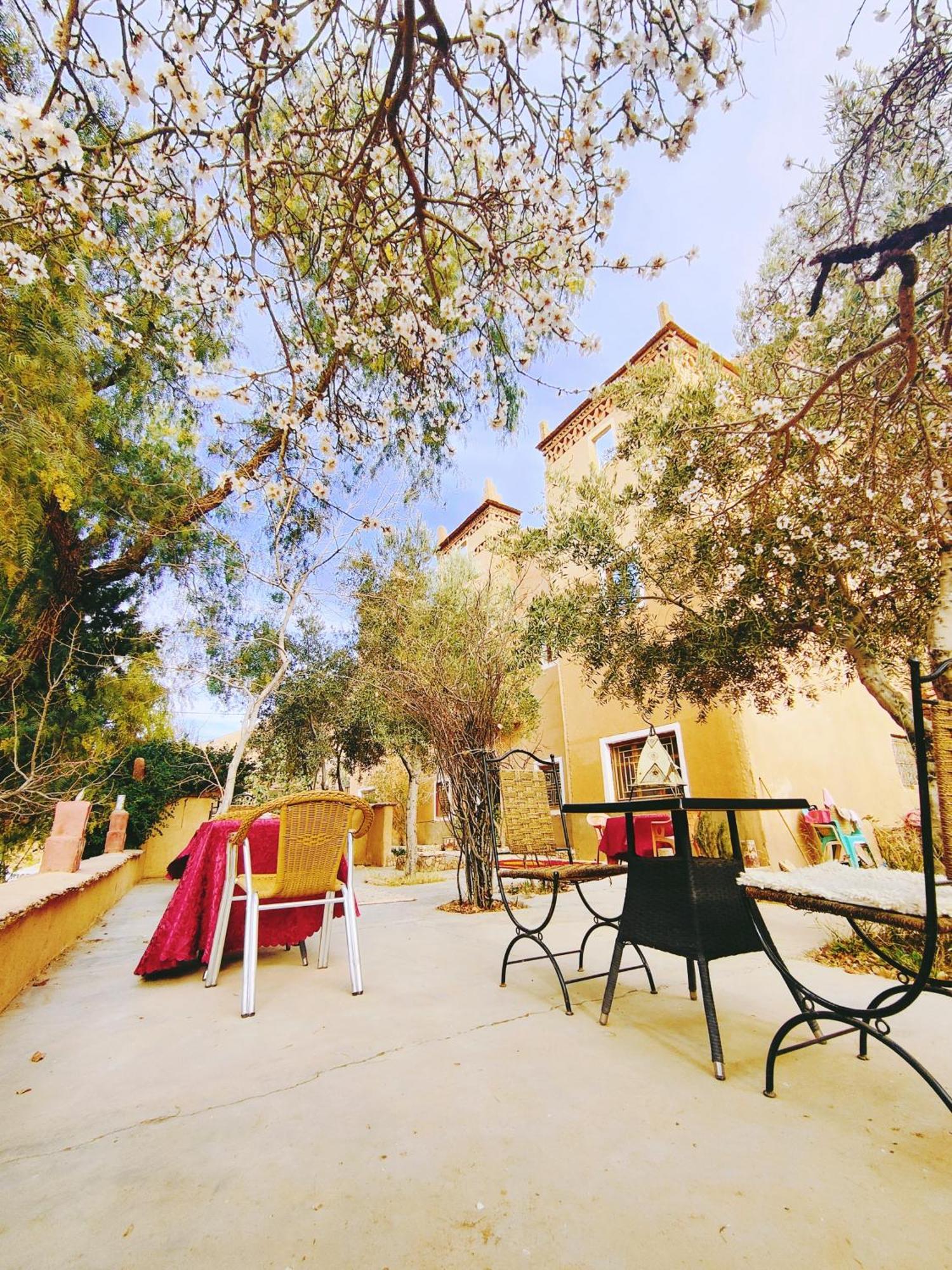 Riad Kasbah Des Roches Akhendachou n'Ait Ouffi エクステリア 写真